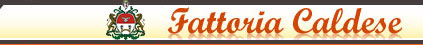 fattoria caldese
